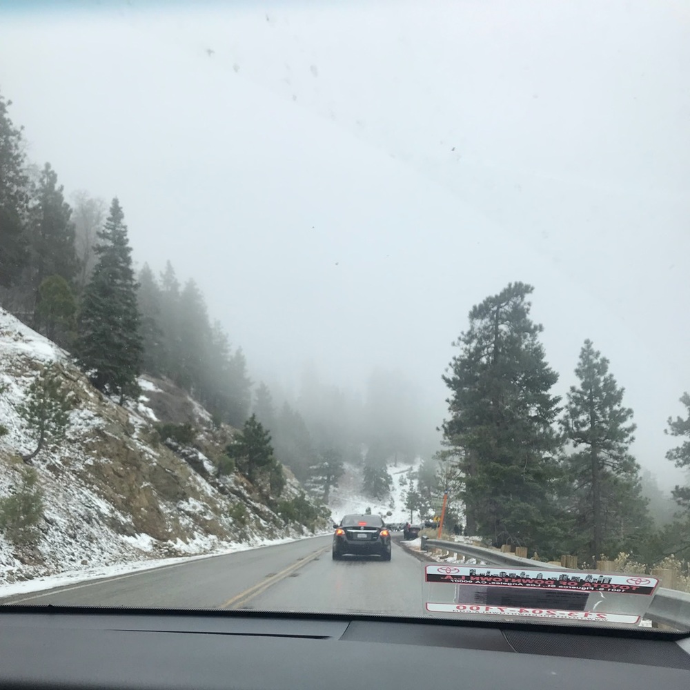 Meet your Posher, Nory